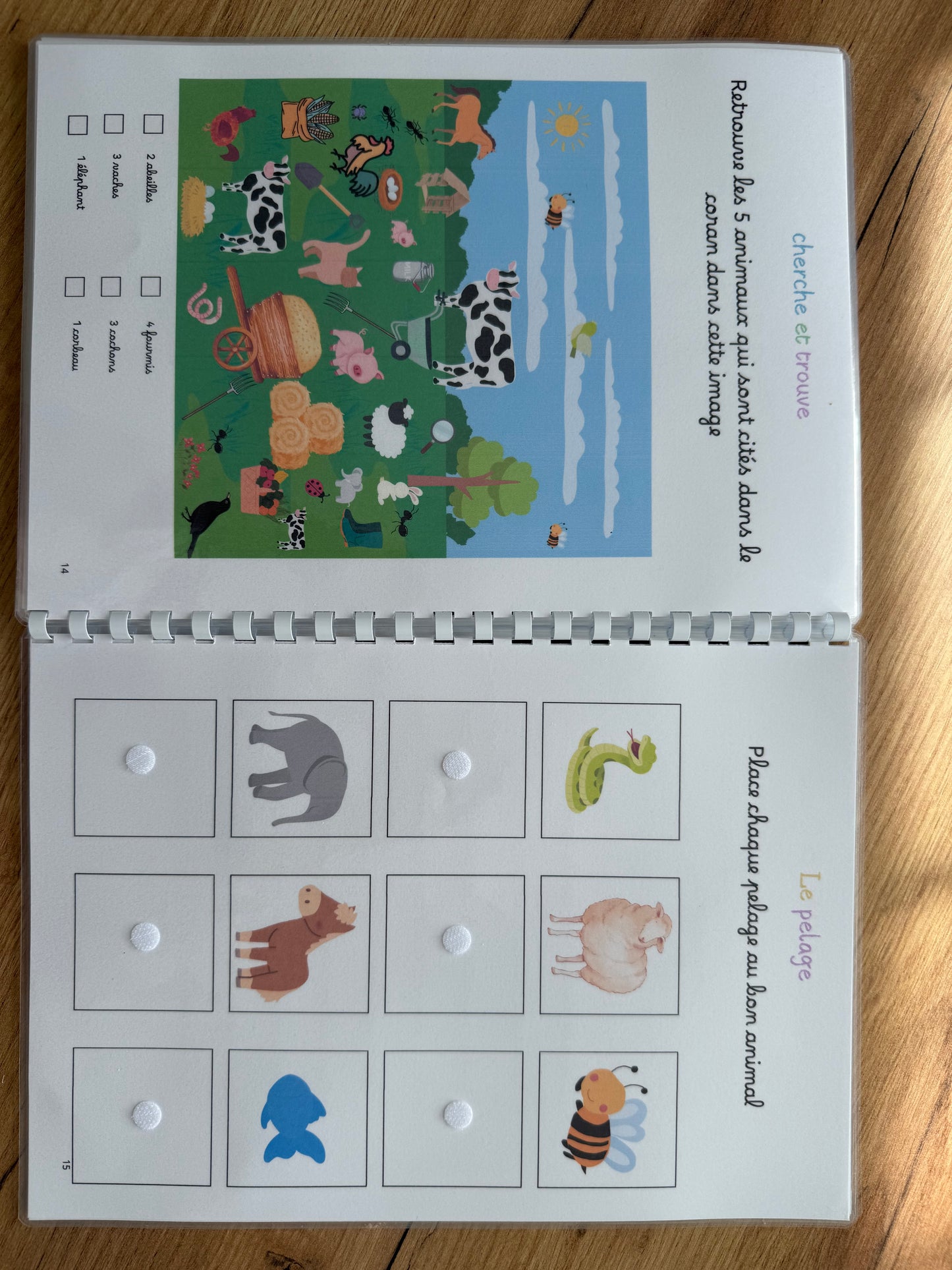Qitabi, carnet d'activités sur les animaux du Coran